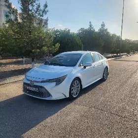 Toyota Corolla 2020