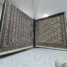Oguzhan Haly kredit 1 ýyl