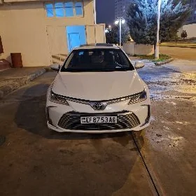 Toyota Corolla 2021