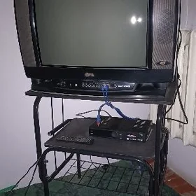 Telewizor