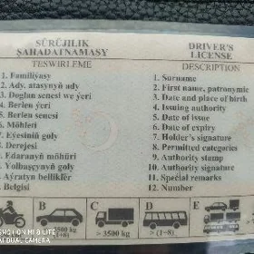 Sürijilik hakynda şahadatnama