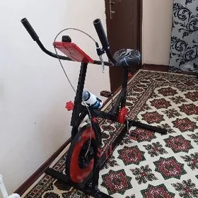 trnaźorny tigir