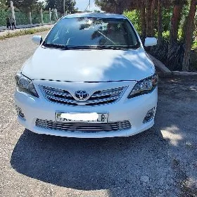 Toyota Corolla 2010