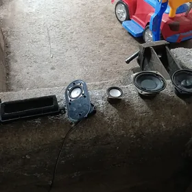 kalonka hemmesini berýän