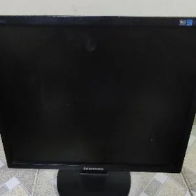 monitor 19"