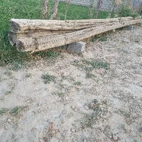 Stolba Toňňe pürs agaç