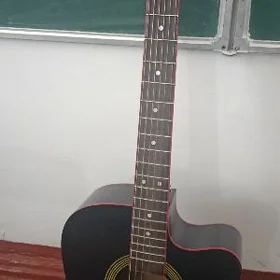 Akustik gitara