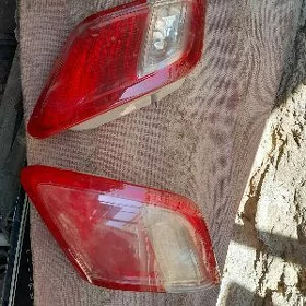 okuz kele 2008 bagaz cyra