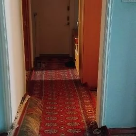 Туркменабат кварира