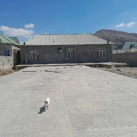жебел