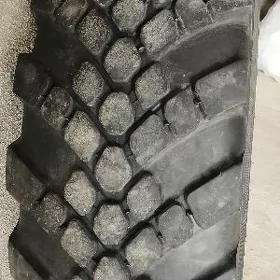 kamaz tekir wedusy