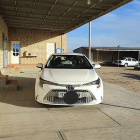 Toyota Corolla 2021