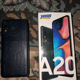 A 20
