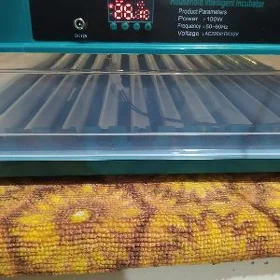 inkubator Инкубатор