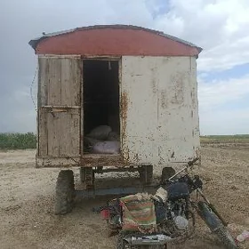 wagon