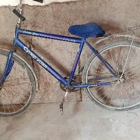 2 sani welsaped