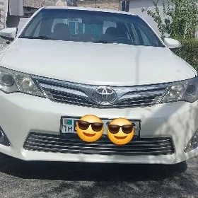 Toyota Camry 2013
