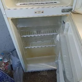 LC Haladylnik