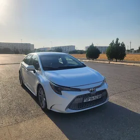 Toyota Corolla 2020