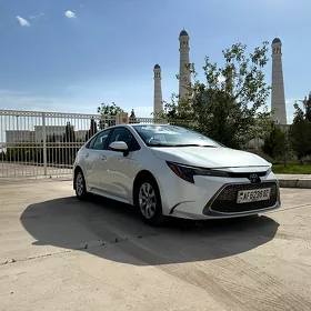 Toyota Corolla 2019