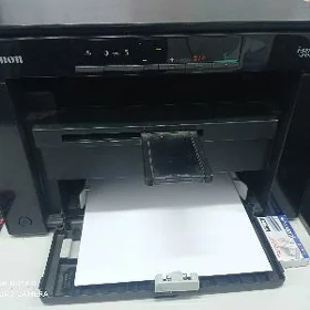 Canon3010