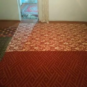 bir komnat