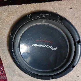 pioneer kolonko