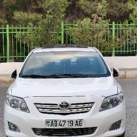 Carolla haliji Fara