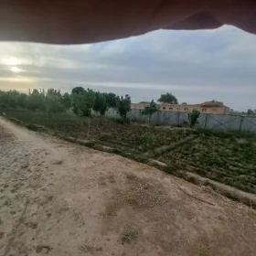 хусусы ферма