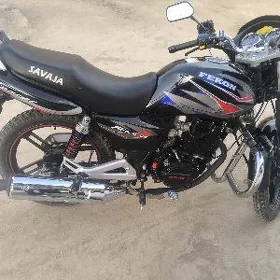 Fekon FK150-8G 2026