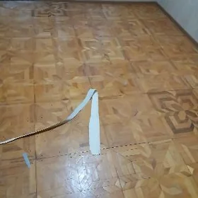 agaç