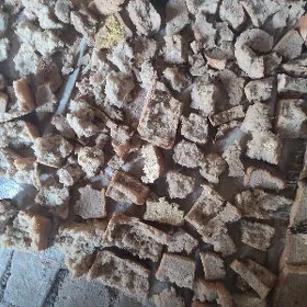 колегеде гурадылан чорек