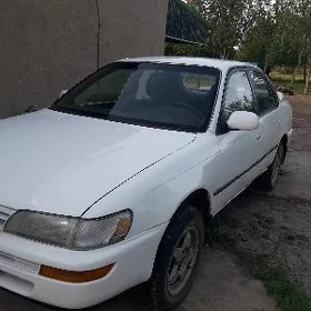 Toyota Corolla 1995