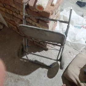 el arava