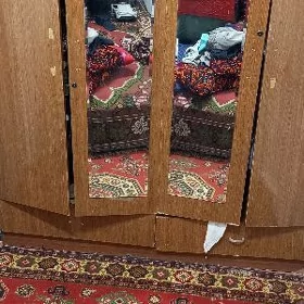 шфонер şfoner