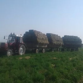 MTZ 82 1990