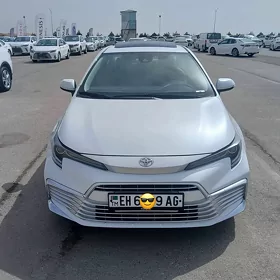 Toyota Corolla 2023