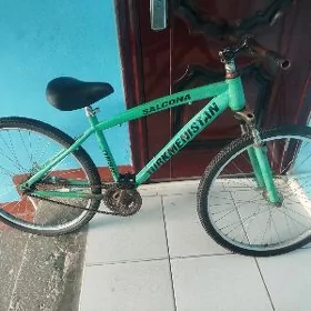 Turkmenistan tigir