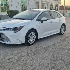 Toyota Corolla 2020