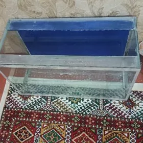 akwaryum аквариум