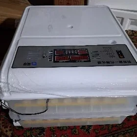 инкубатор