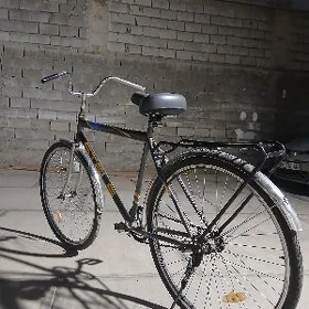 tigirv26 lyk