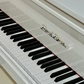 Saz gurallar Ak Royal pionino