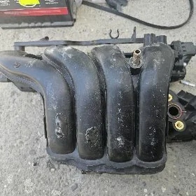 Sentra Pauk 2021