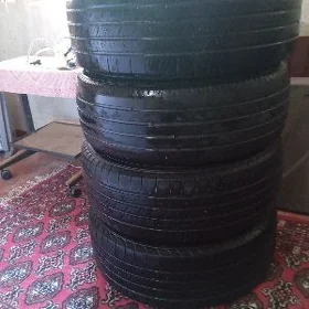 pakryşka