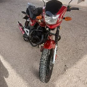 Fekon FK150-8G 2013