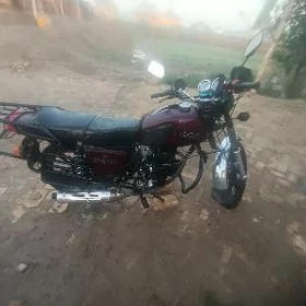 Fekon FK200-14G 2026