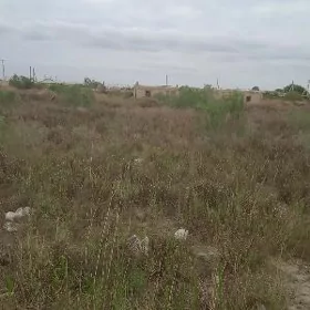 Дача