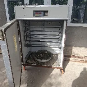 Enkubator енкубатор