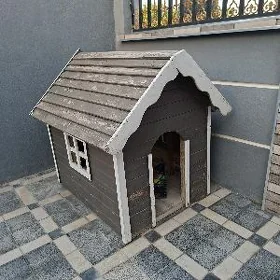 Güjük jaý